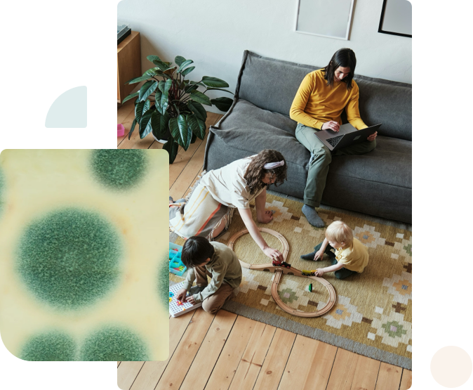 A woman sitting on a couch viewing results of a mold testing report on her laptop with two children